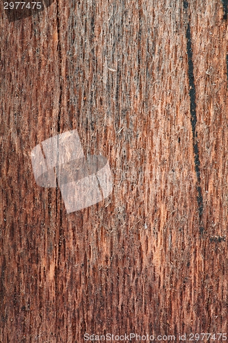 Image of Wood texture