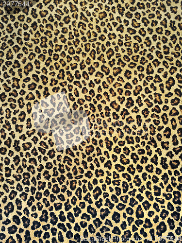 Image of Classic leopard fabric