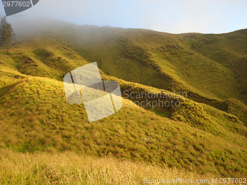 Image of hilly grassland around Mount Rinjani