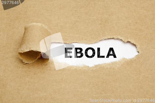 Image of Ebola Torn Paper