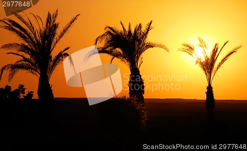 Image of Sunset in Egypt