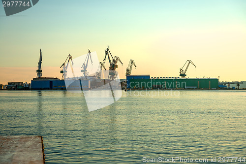 Image of Industrial cargo cranes in the dock