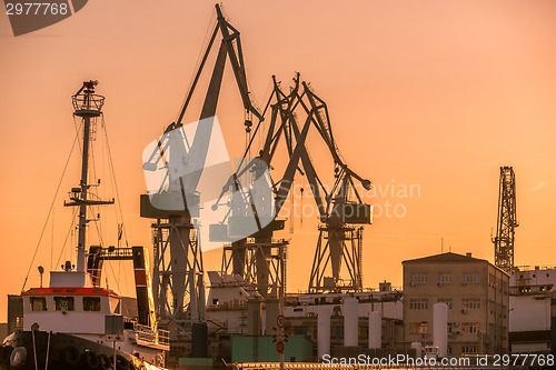 Image of Industrial cargo cranes in the dock