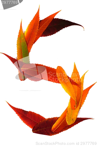 Image of Letter made out of Leaves