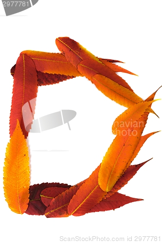 Image of Letter made out of Leaves