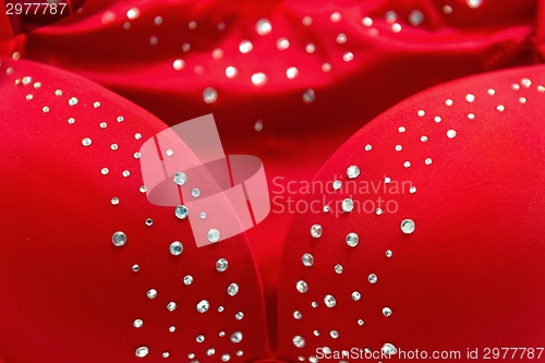 Image of Red bra with glimmering