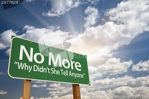 Image of No More Why Didn't She Tell Anyone Green Road Sign