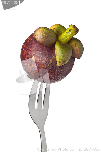 Image of Whole mangosteen held by a fork