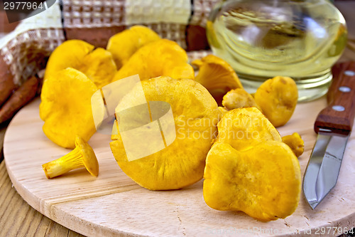 Image of Chanterelles with a knife on the board