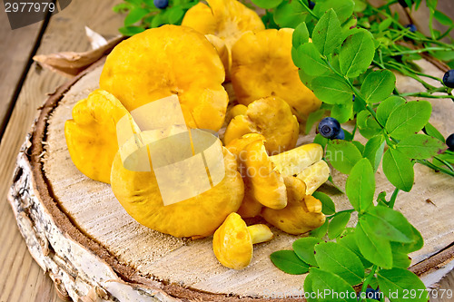 Image of Chanterelles with blueberries on birch billet