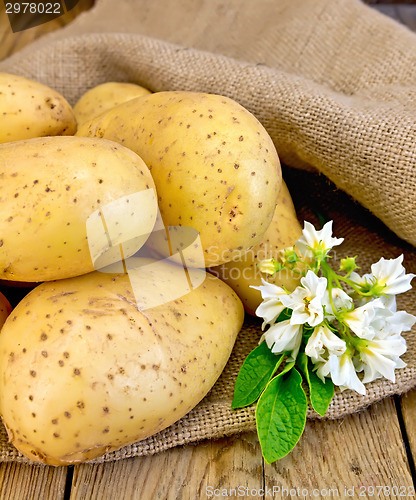 Image of Potatoes yellow with flower on sackcloth and board