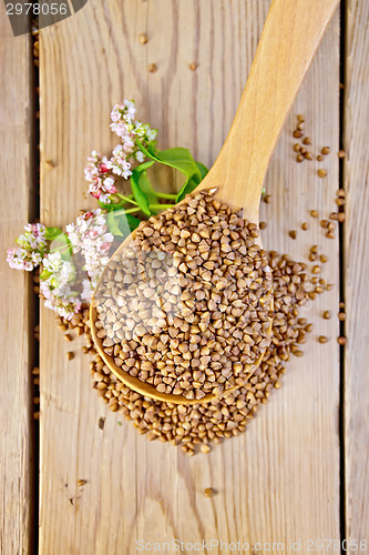 Image of Buckwheat in spoon with flower on board