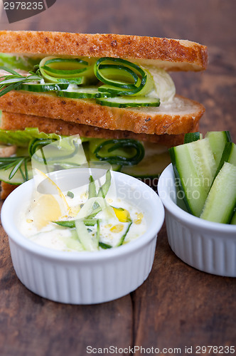 Image of fresh vegetarian sandwich with garlic cheese dip salad