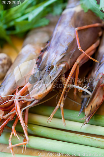 Image of Ingredients for Thai tom yam soup