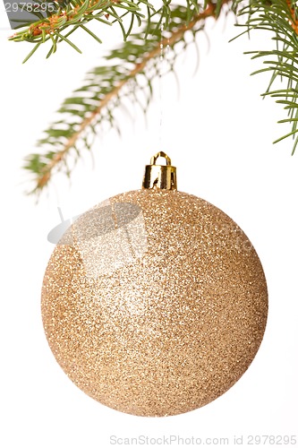 Image of Christmas ball hanging from a branch of a fir tree