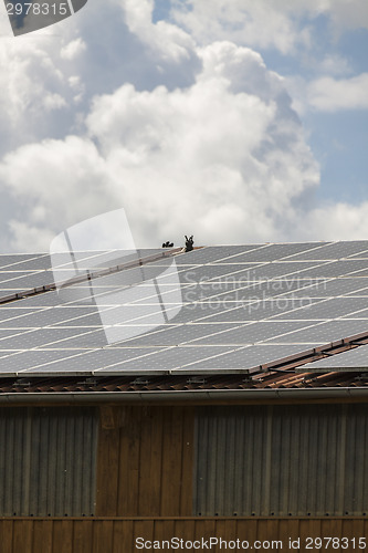 Image of Photovoltaic solar panels on a roof