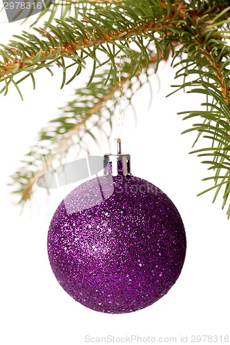 Image of Christmas ball hanging from a branch of a fir tree