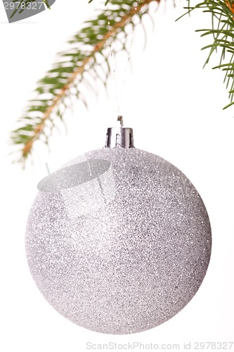 Image of Christmas ball hanging from a branch of a fir tree