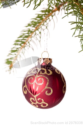 Image of Christmas ball hanging from a branch of a fir tree