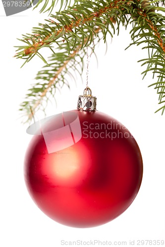 Image of Christmas ball hanging from a branch of a fir tree