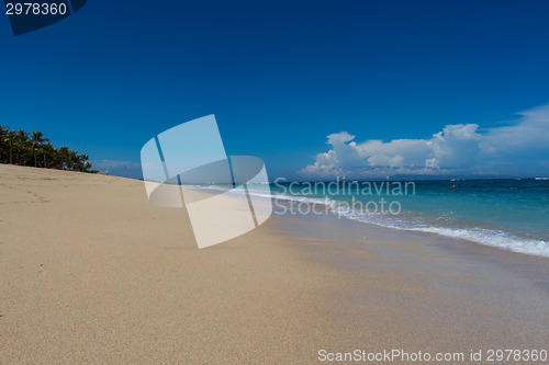 Image of Beautiful tropical beach with lush vegetation