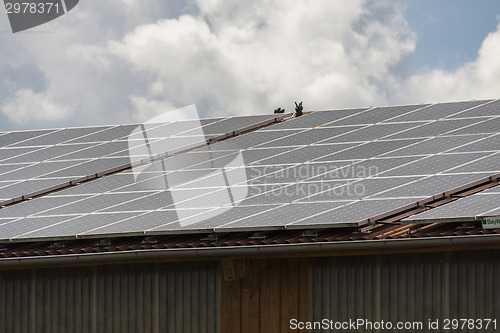 Image of Photovoltaic solar panels on a roof