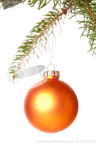 Image of Christmas ball hanging from a branch of a fir tree