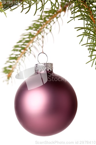 Image of Christmas ball hanging from a branch of a fir tree