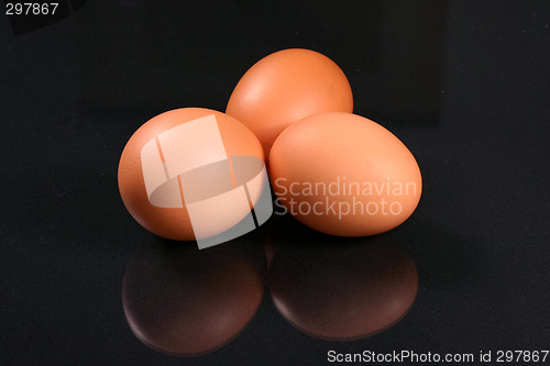 Image of fresh eggs