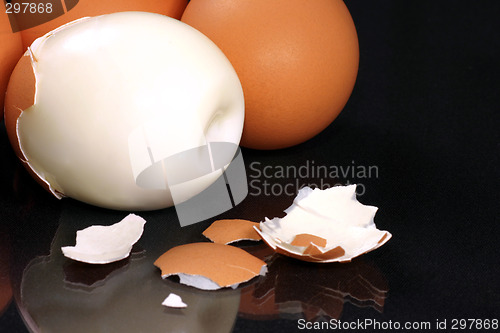 Image of fresh eggs