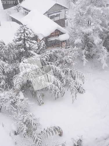 Image of bamboo garden under the snow