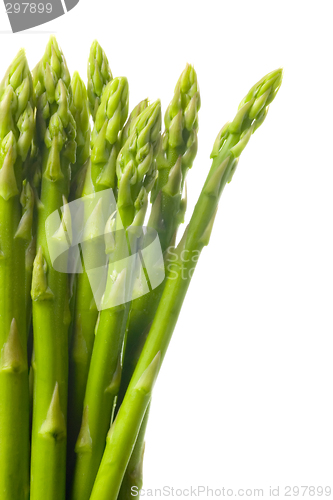 Image of Bunch of asparagus


