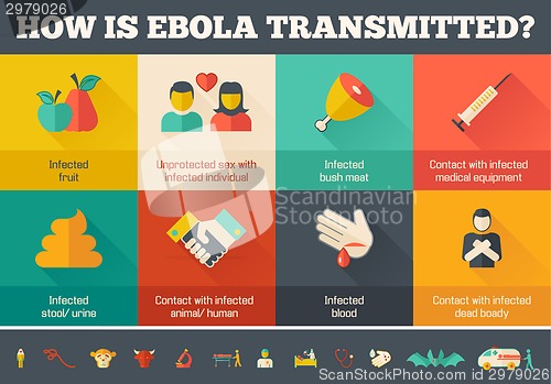 Image of Medical Infographic Template.