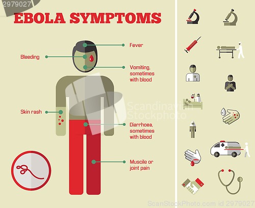 Image of Medical Infographic Template.