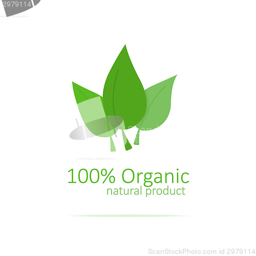 Image of organic logo