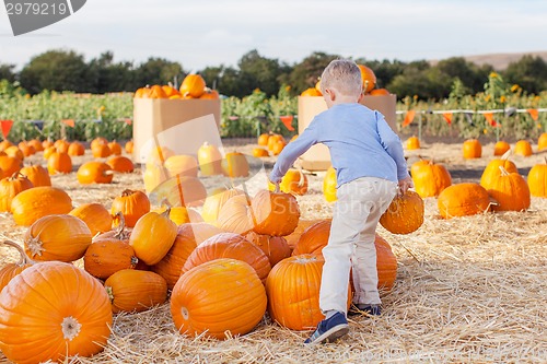 Image of kid at pumpkin patch