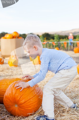 Image of kid at pumpkin patch