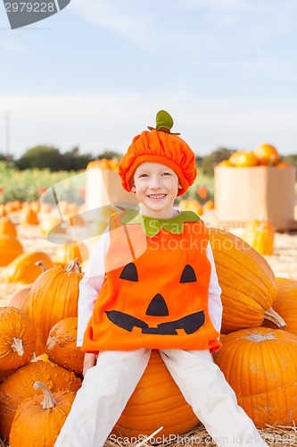 Image of kid at pumpkin patch