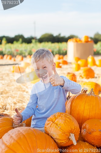 Image of kid at pumpkin patch