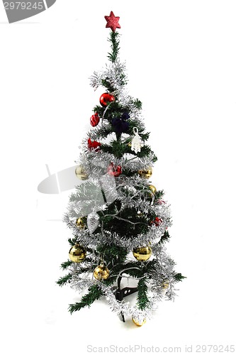 Image of christmas tree 