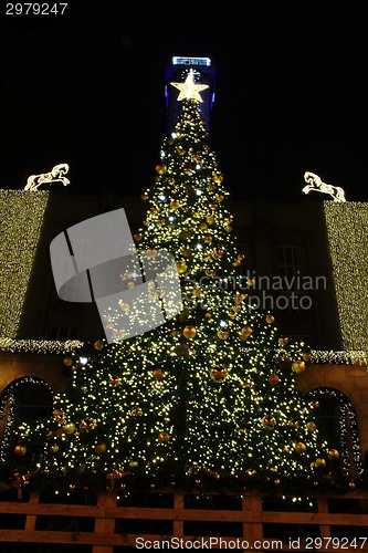 Image of christmas tree in Ostrava 