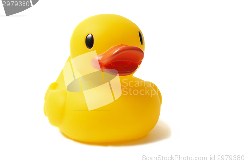 Image of Rubber Duck