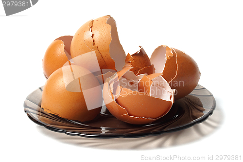 Image of Dish with egg shells