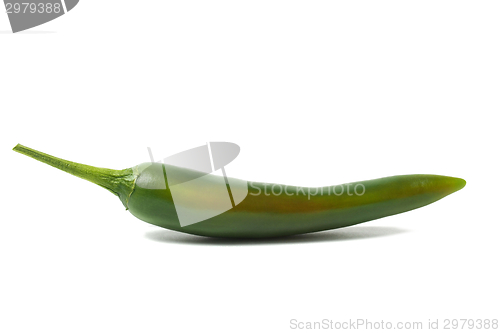 Image of Green hot chili pepper