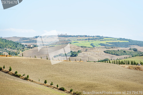 Image of Beautiful landscape Tuscany