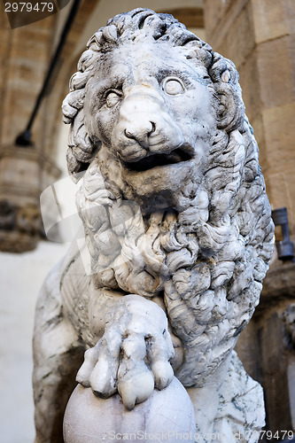 Image of Lion sculpture Florence