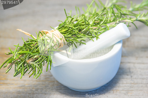 Image of rosemary with mortar