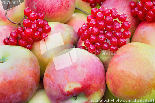 Image of Large ripe apples and berries, photographed close up.