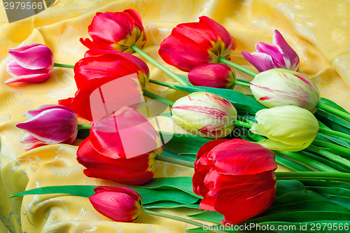 Image of Bright red tulip against yellow silk