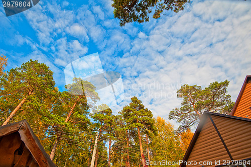 Image of House at forest